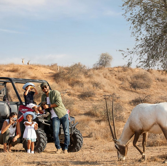 Al Wadi Nature Reserve