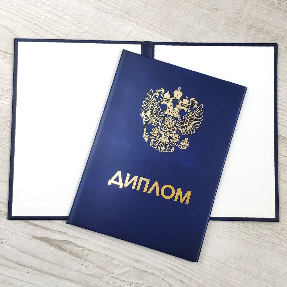 Диплом с проводкой по базам ключевые аспекты и советы